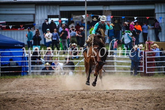 BungendoreRodeo2017_2268