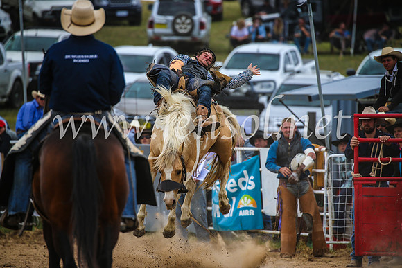 BungendoreRodeo2017_2454