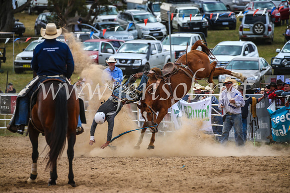 BungendoreRodeo2017_2395