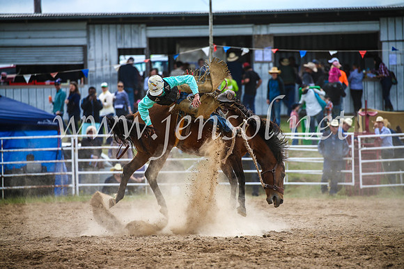 BungendoreRodeo2017_2274