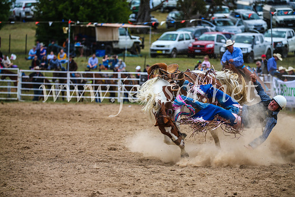 BungendoreRodeo2017_2383