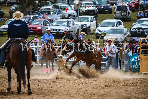 BungendoreRodeo2017_2396