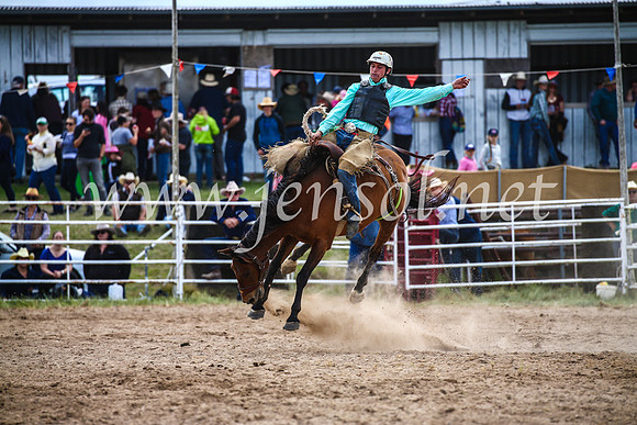 BungendoreRodeo2017_2281
