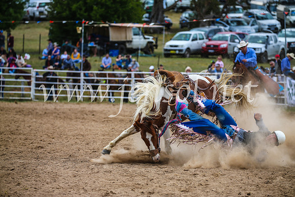 BungendoreRodeo2017_2381