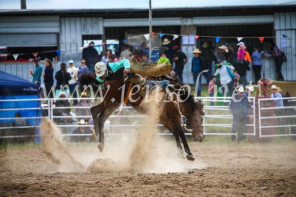 BungendoreRodeo2017_2269