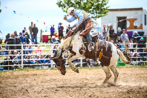 BungendoreRodeo2017_2208