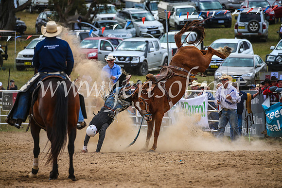 BungendoreRodeo2017_2393