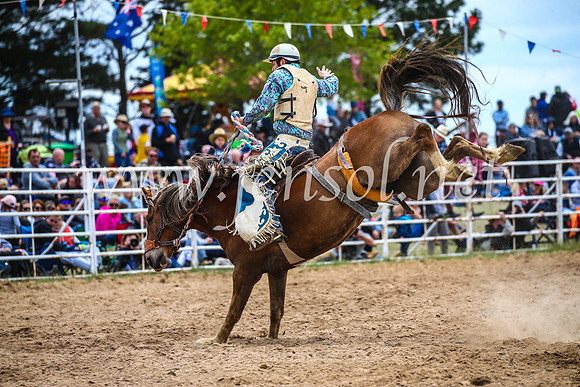 BungendoreRodeo2017_2361