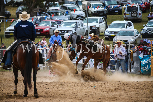 BungendoreRodeo2017_2397