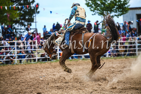 BungendoreRodeo2017_2336