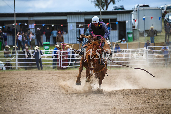 BungendoreRodeo2017_2300