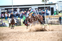BungendoreRodeo2017_2170