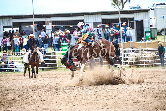 BungendoreRodeo2017_2170