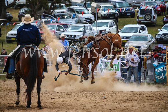BungendoreRodeo2017_2400