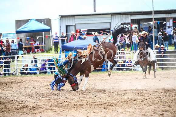 BungendoreRodeo2017_2177