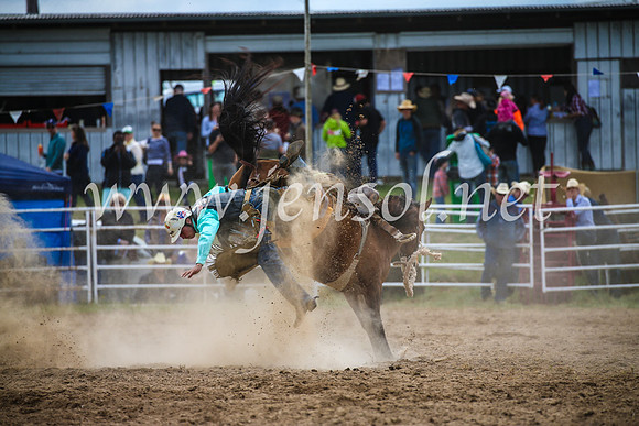 BungendoreRodeo2017_2271
