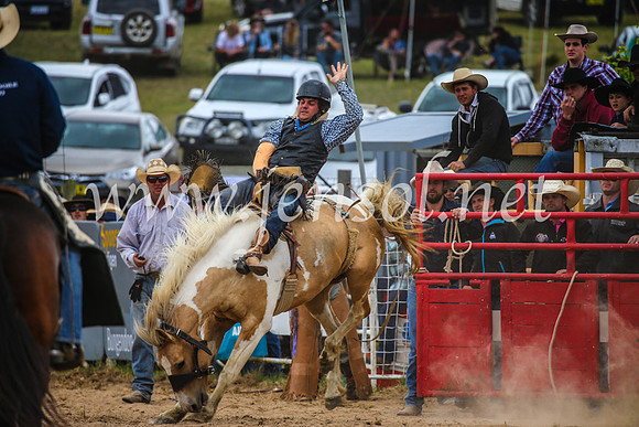 BungendoreRodeo2017_2446