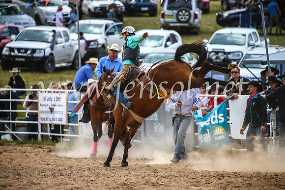 BungendoreRodeo2017_2239