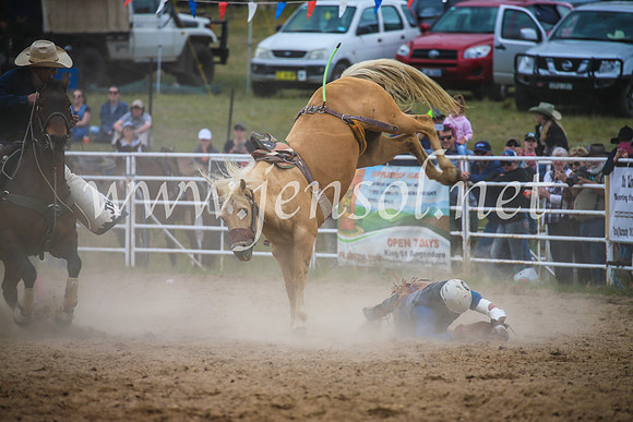 BungendoreRodeo2017_2443