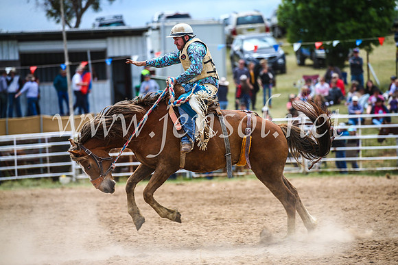 BungendoreRodeo2017_2331