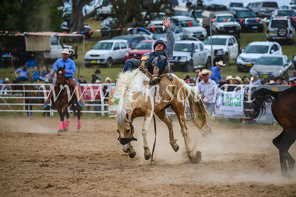 BungendoreRodeo2017_2460
