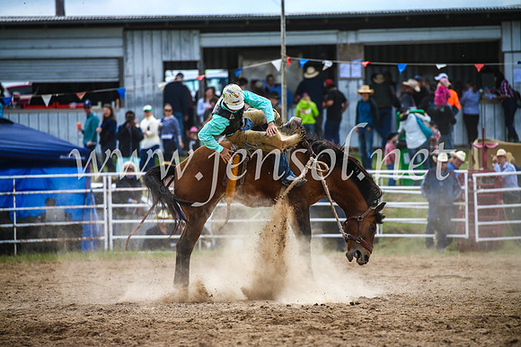 BungendoreRodeo2017_2267
