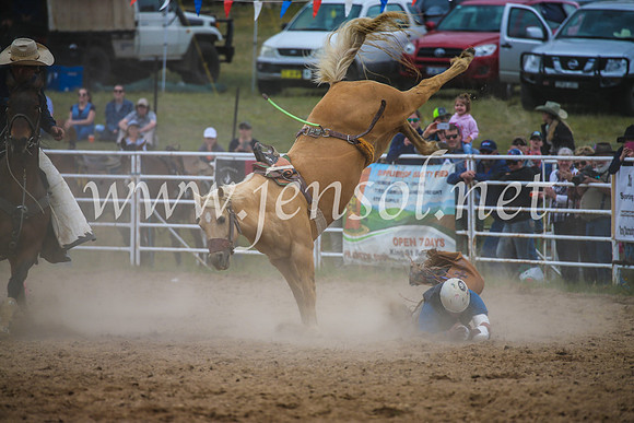 BungendoreRodeo2017_2442
