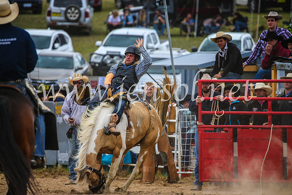 BungendoreRodeo2017_2445