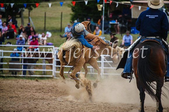 BungendoreRodeo2017_2436