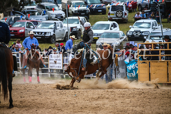 BungendoreRodeo2017_2386