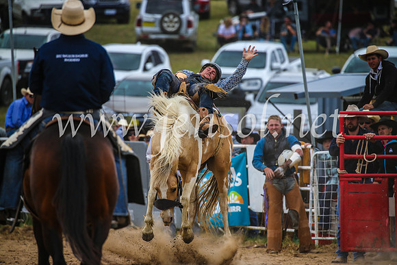 BungendoreRodeo2017_2451