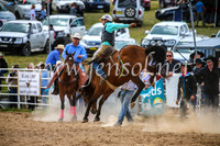 BungendoreRodeo2017_2237