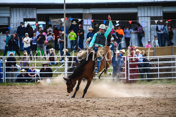 BungendoreRodeo2017_2282