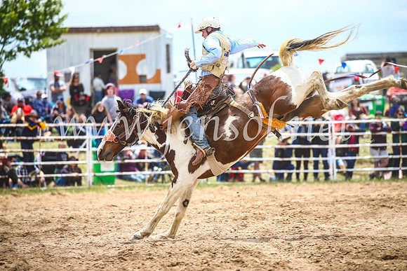 BungendoreRodeo2017_2201