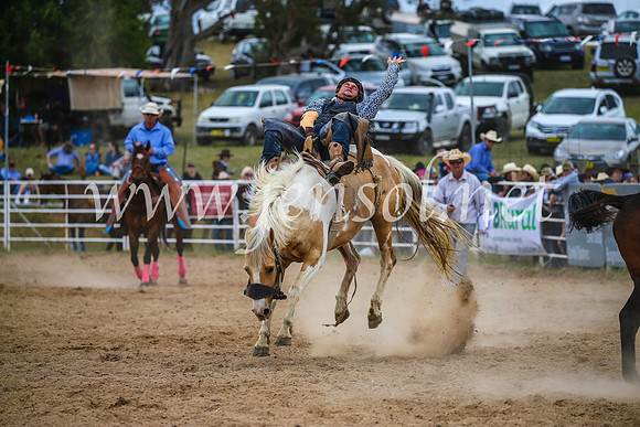 BungendoreRodeo2017_2456