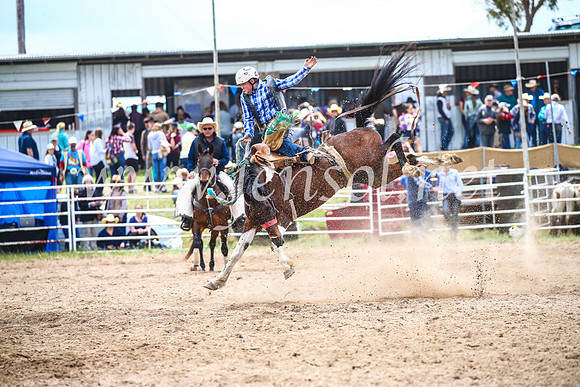 BungendoreRodeo2017_2183