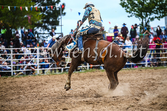 BungendoreRodeo2017_2338