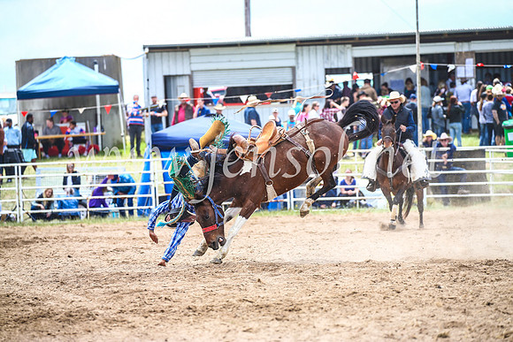 BungendoreRodeo2017_2175