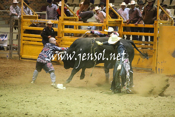 RDAug2013_0435