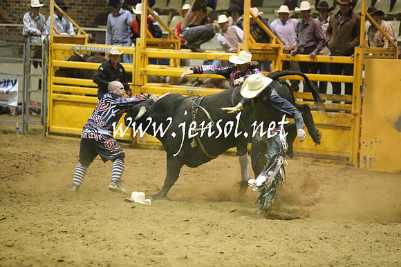 RDAug2013_0436