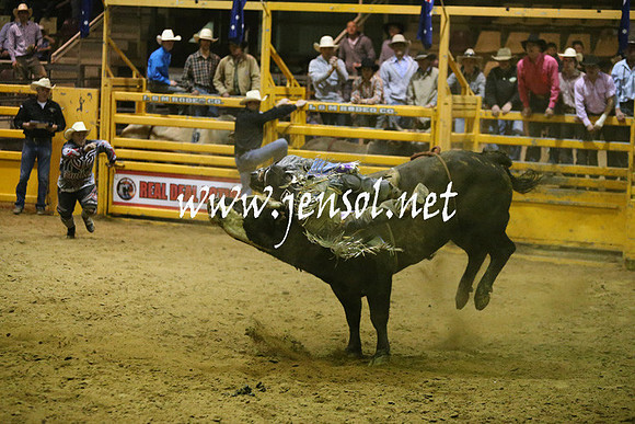 RDAug2013_0399
