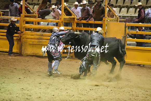 RDAug2013_0433