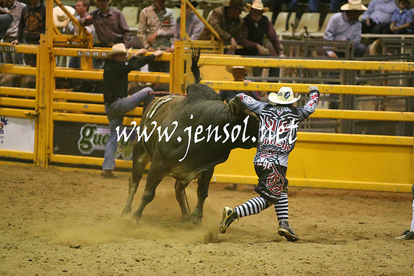 RDAug2013_0372