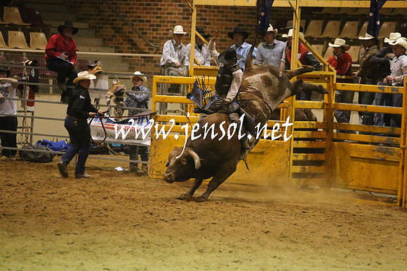 RDAug2013_0438