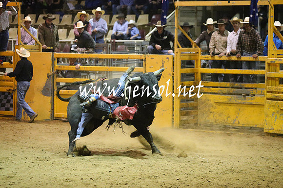 RDAug2013_0461