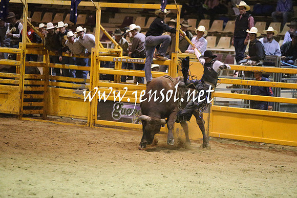 RDAug2013_0452