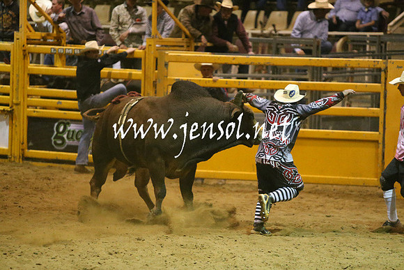 RDAug2013_0373