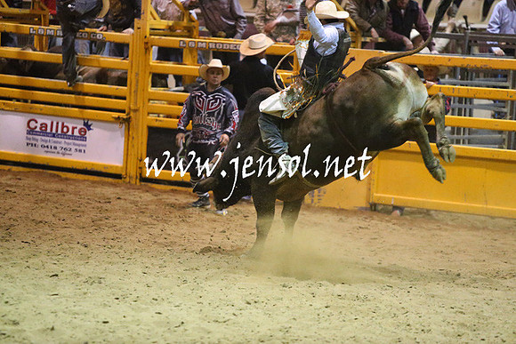 RDAug2013_0366