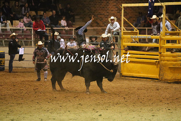 RDAug2013_1128