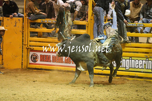 RDAug2013_0480